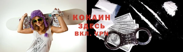 не бодяженный Алексин