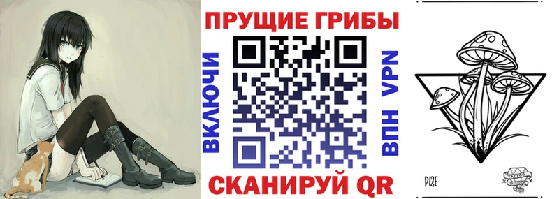 Псилоцибиновые грибы Psilocybine cubensis  Аркадак 